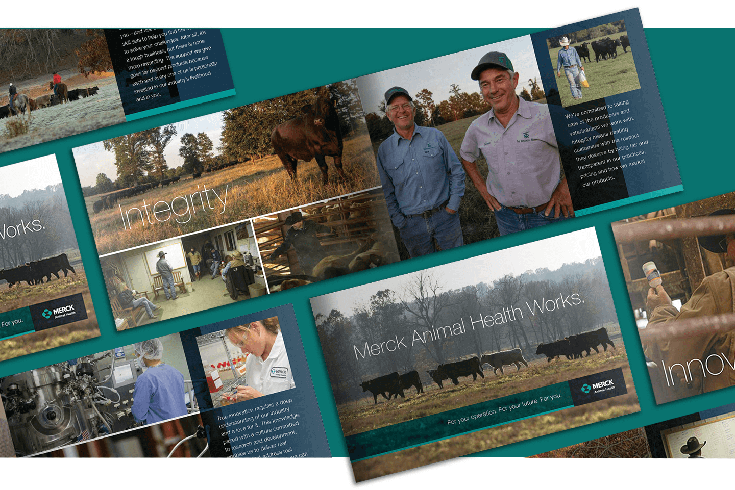 Merck Animal Health Cattle Brochure