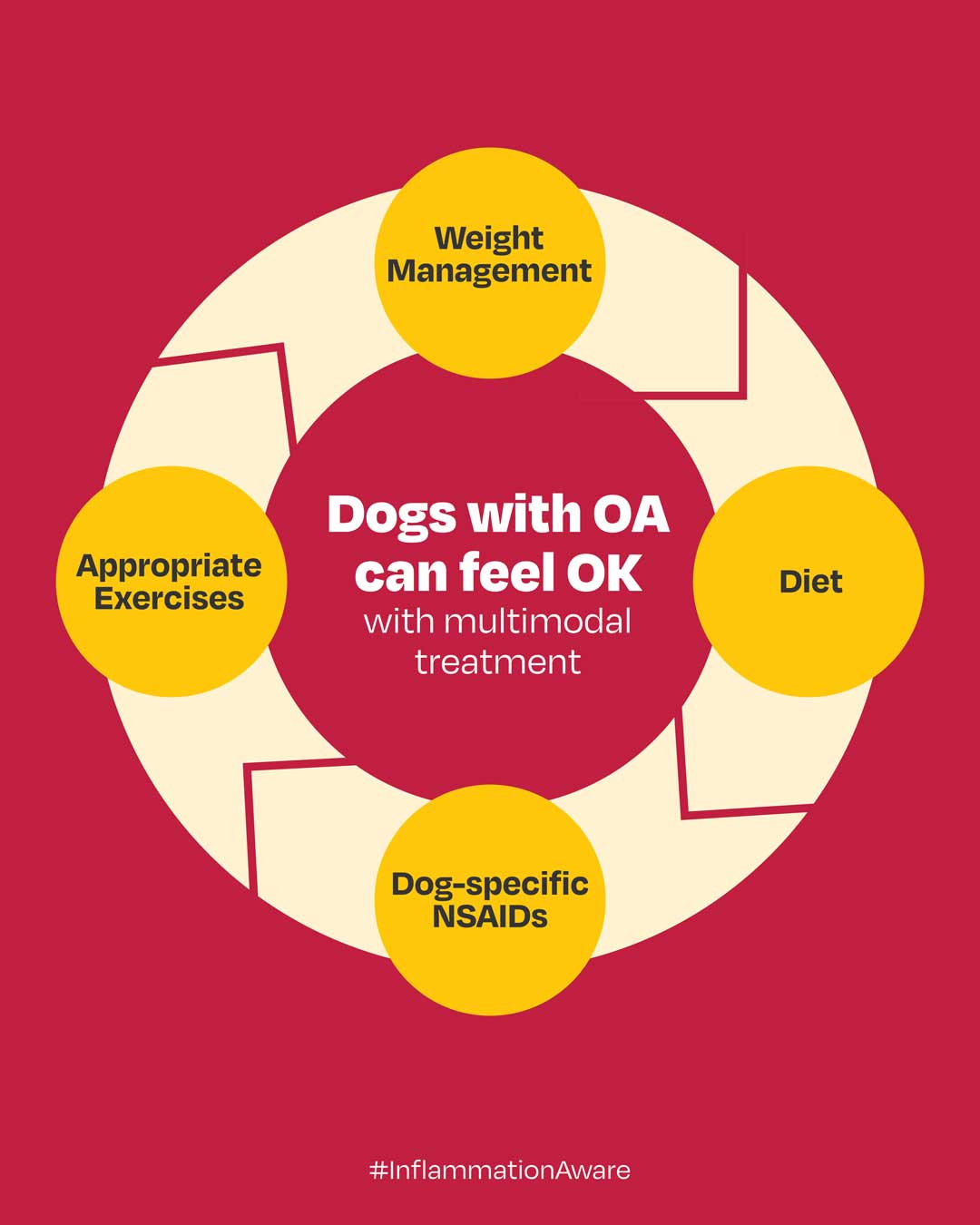 Social post graphic. Headline says "Dogs with OA can feel OK with multimodal treatment" and this is encircled by these things: Weight Management, Diet, Dog-specific NSAIDs, Appropriate Exercises. #InflammationAware