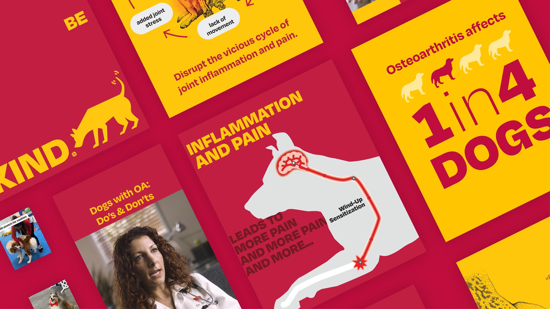 An array of various Galliprant campaign images with dog silhouettes in red and yellow with headlines like: "Inflammation and Pain Leads to More Pain and More Pain and More..." and "Osteoarthritis affects 1 in 4 dogs" and "Dogs with OA: Do's and Don'ts"