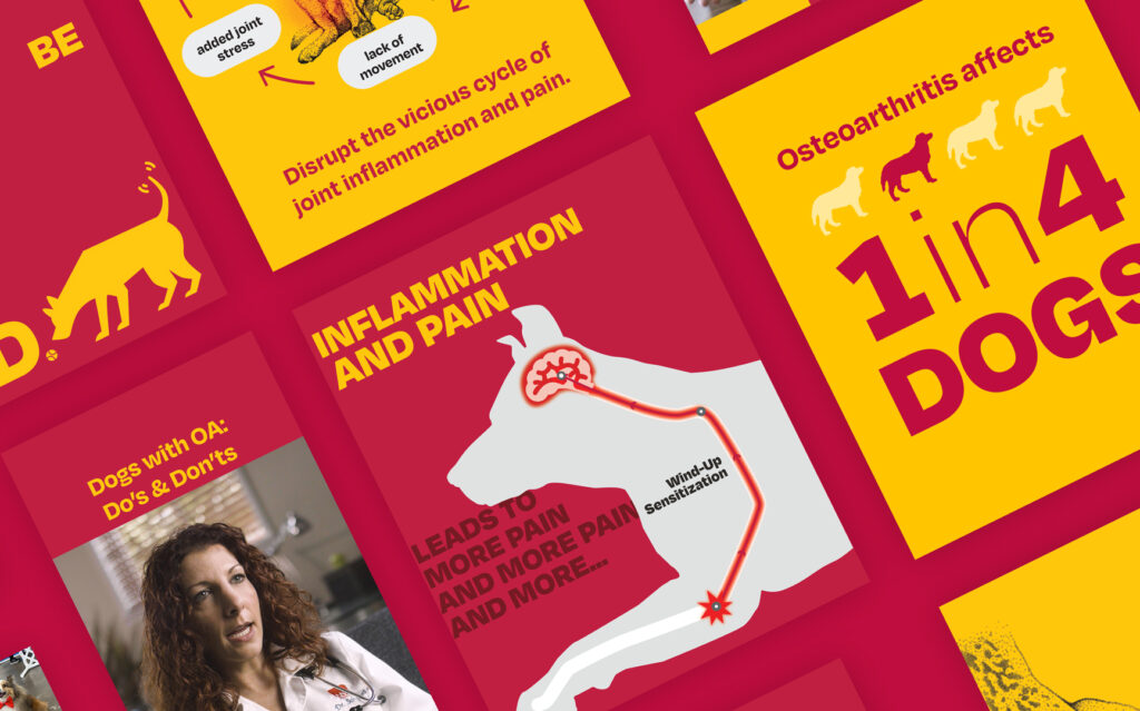 An array of various Galliprant campaign images with dog silhouettes in red and yellow with headlines like: "Inflammation and Pain Leads to More Pain and More Pain and More..." and "Osteoarthritis affects 1 in 4 dogs" and "Dogs with OA: Do's and Don'ts"